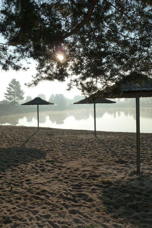 Sandstrand und Sonnenschirme in der Morgensonne am Bernsteinsee