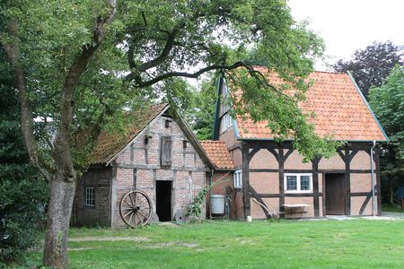 Ein großer Baum steht vo kleinen Fachwerkhäuschen im Innenhof des Heimatmuseums Wiefelstede