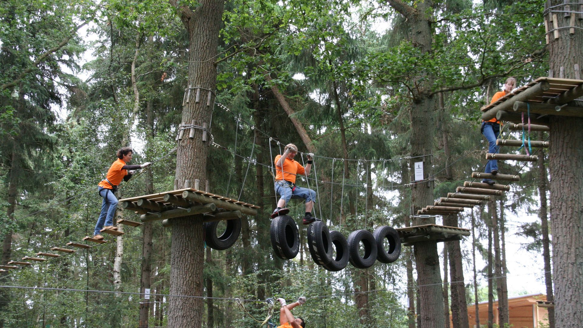 Eine Gruppe balanciert im Kletterwald Conneforde über hoch aufgehängte Reifen.