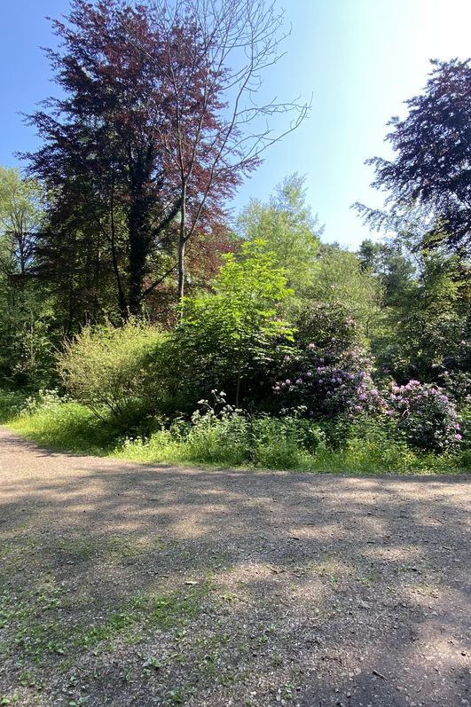 Eine Radwegekreuzung inmitten grüner Natur
