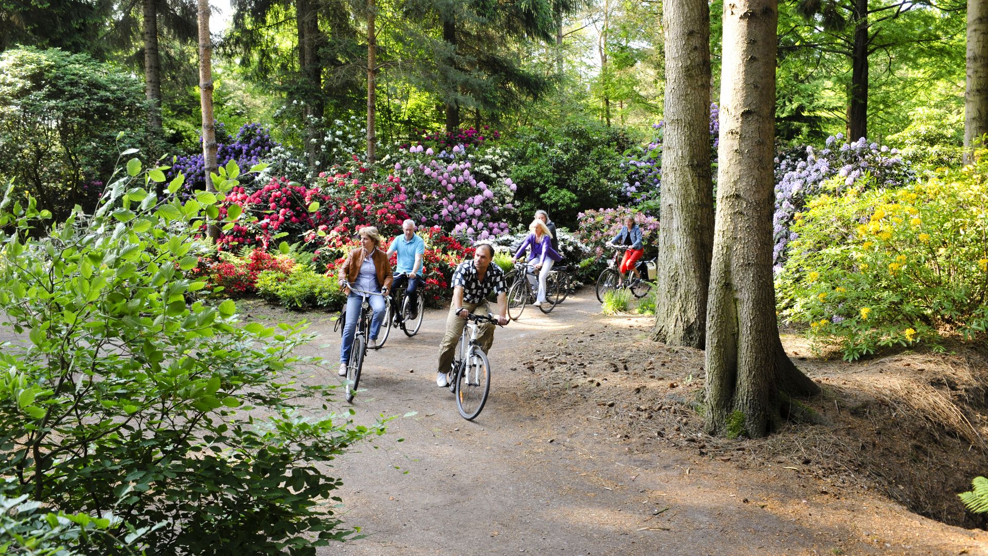 Eine Gruppe Radfahrer fährt an einer Wegekreuzung im Rhododendronpark Gristede
